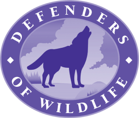 dow logo purple