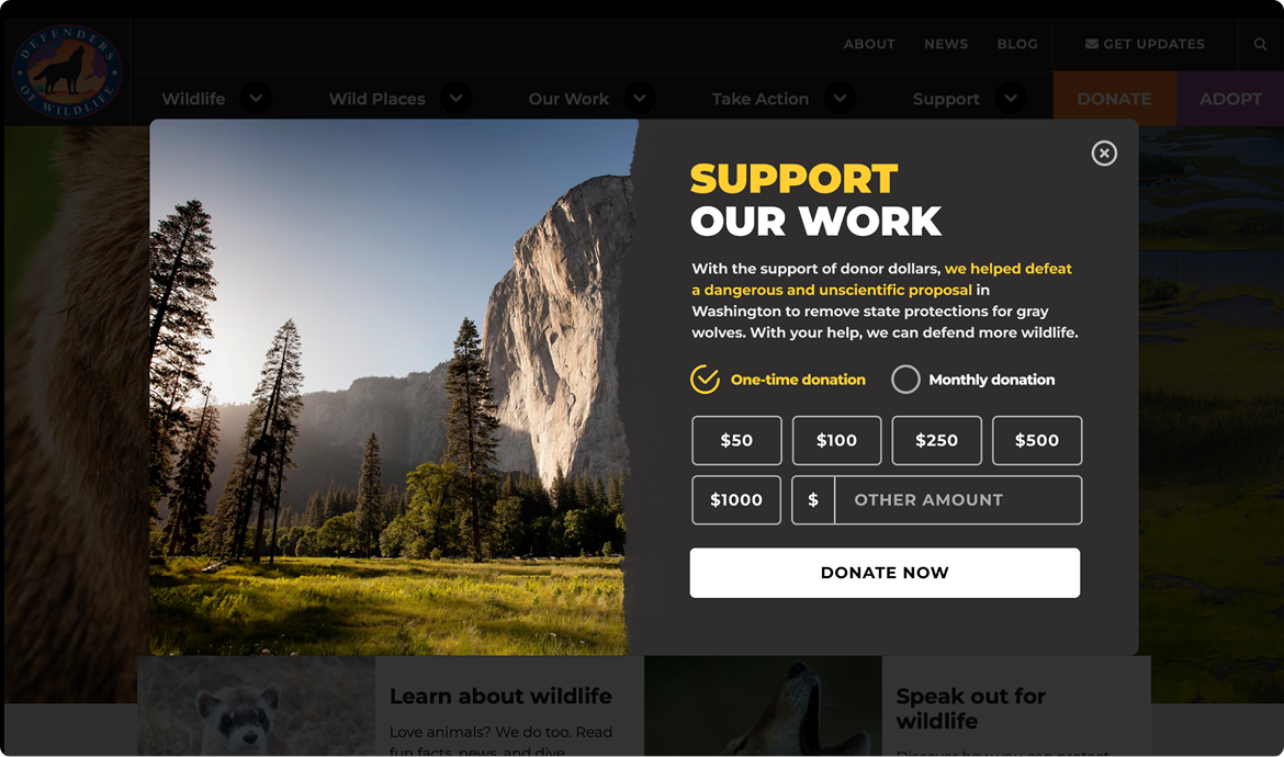 support defenders work