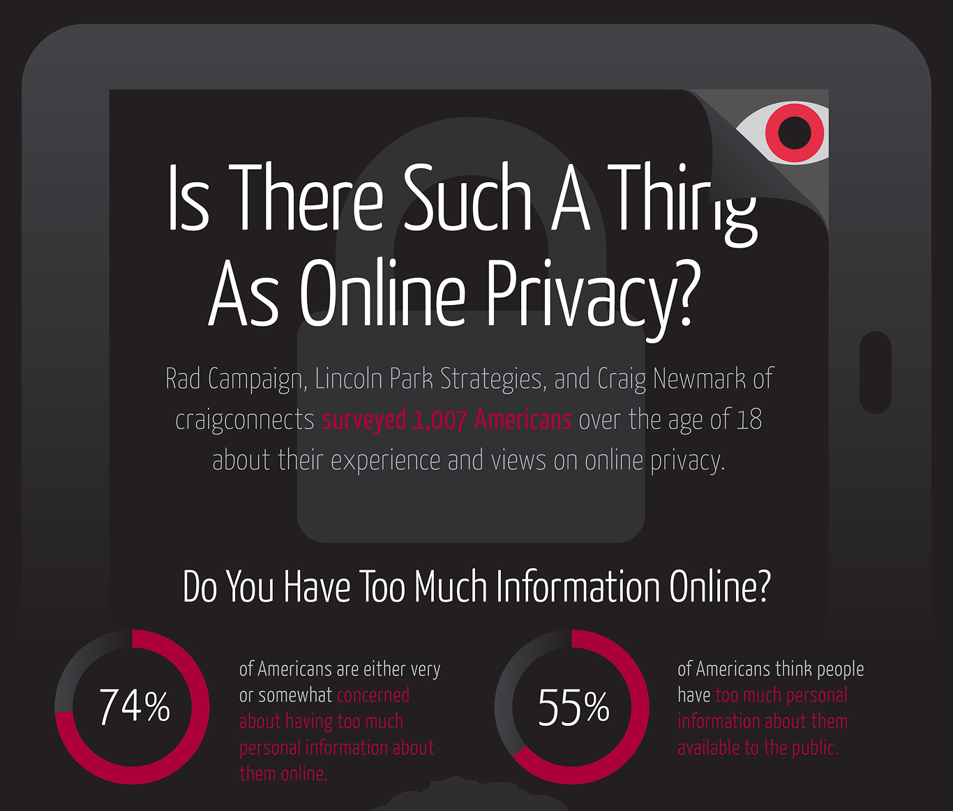 Is there such a thing as online privacy infographic